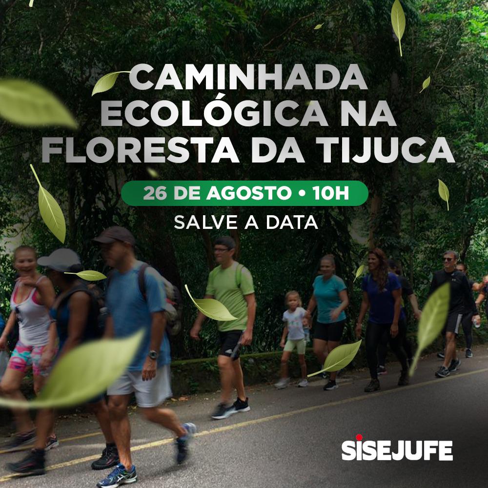 Sisejufe realizará Caminhada Ecológica na Floresta da Tijuca, SISEJUFE